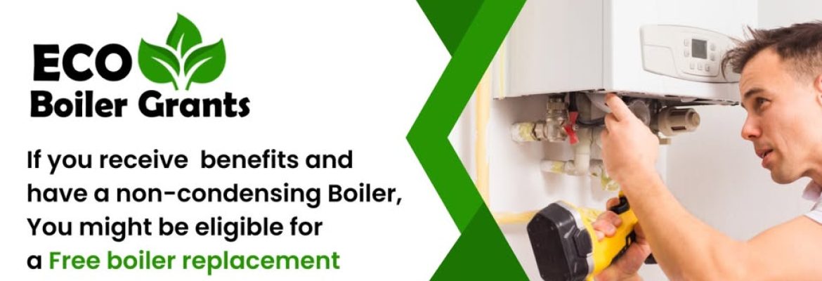 Eco Boiler Grants
