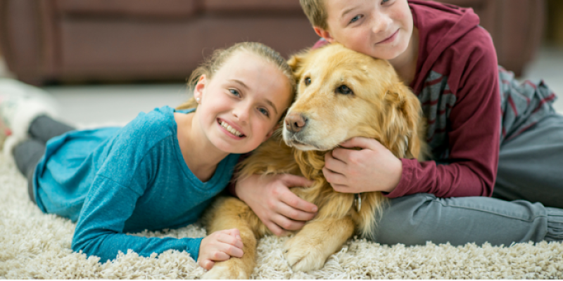 Baseline Carpet Cleaning Sherwood Park