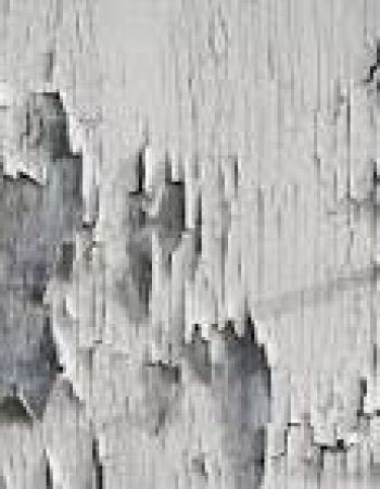 Advance GTC Painting