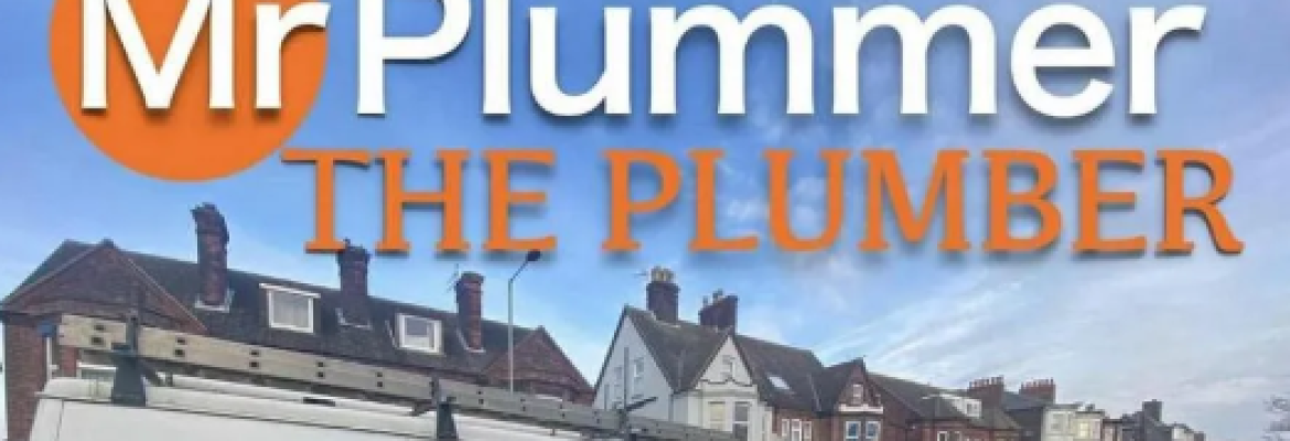 Mr Plummer The Plumber