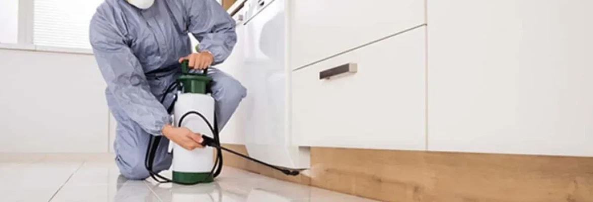 Termite Barrier | Tom's Pest Control Canberra