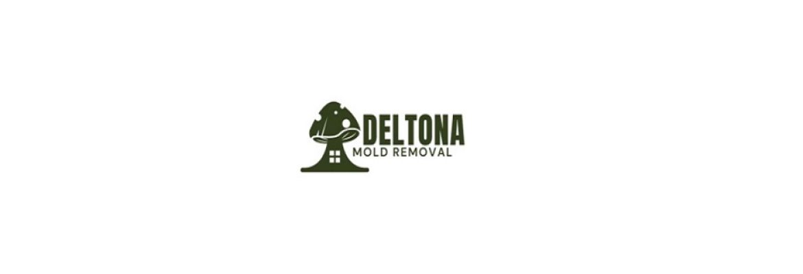 Deltona Mold Removal
