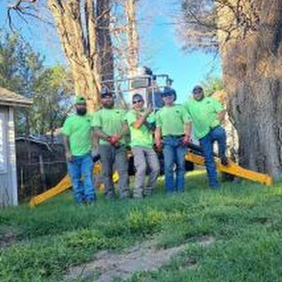 Kansas Tree Experts