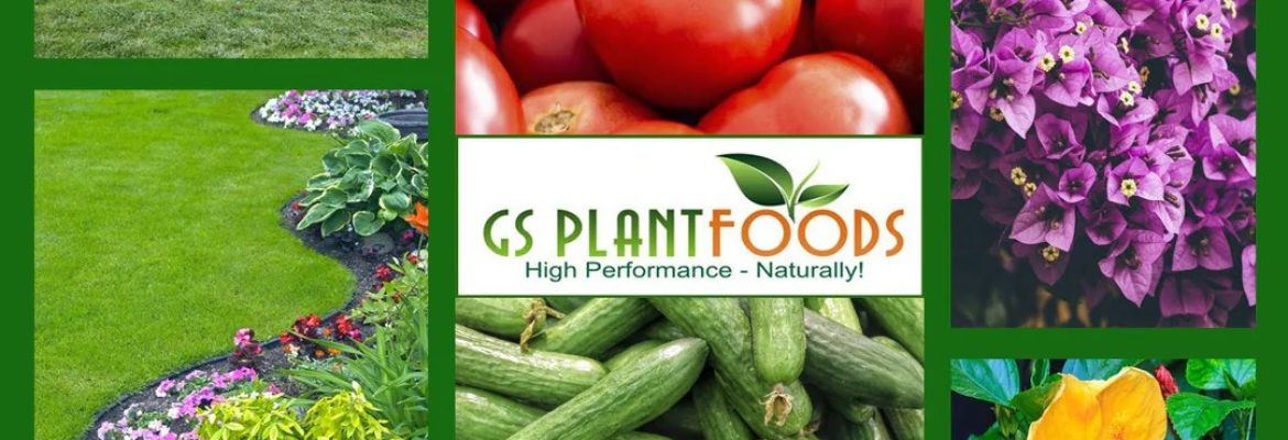 GS Plant Foods
