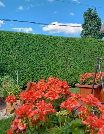 Artisan Taille Nature