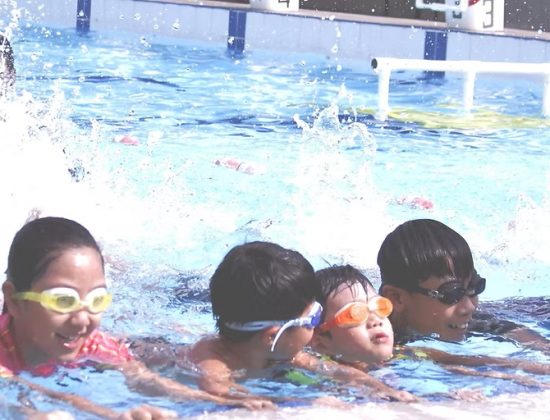 Total Swimming | Corporate Office