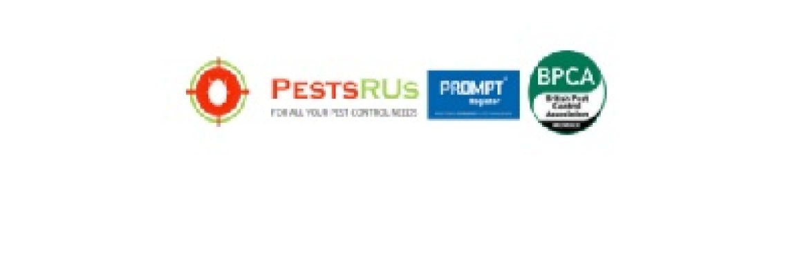 Pests R Us Ltd