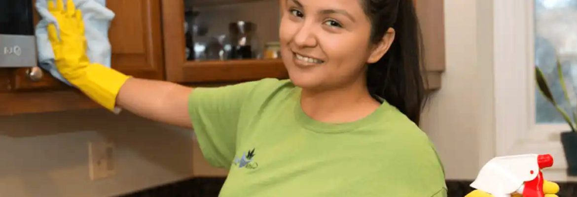 Fresh Tech Maid Chicago