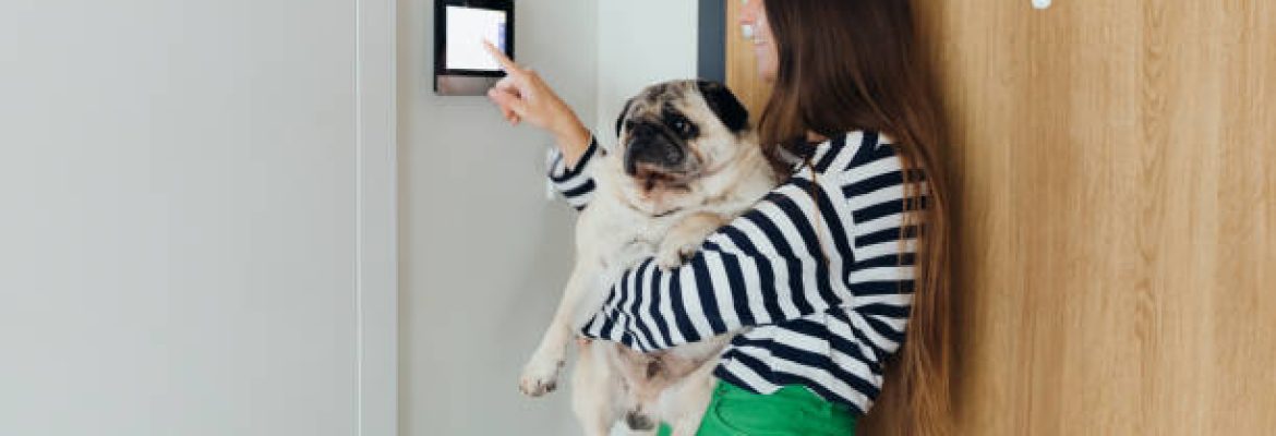 ABC Computer Solutions