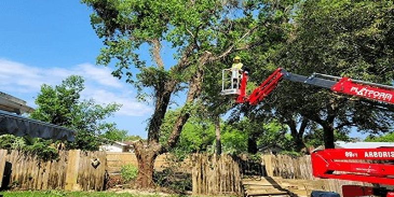 Tri-State Tree Service