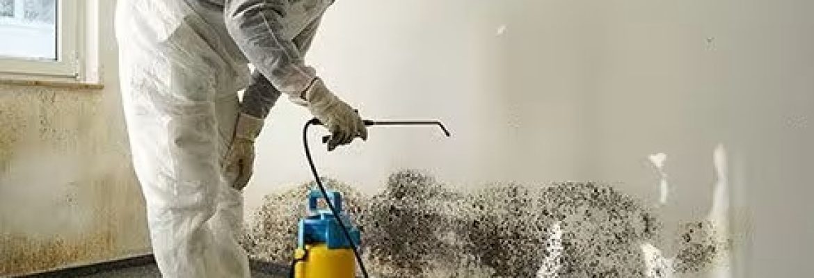 Glover Environmental | Mold Removal & Remediation Apex NC
