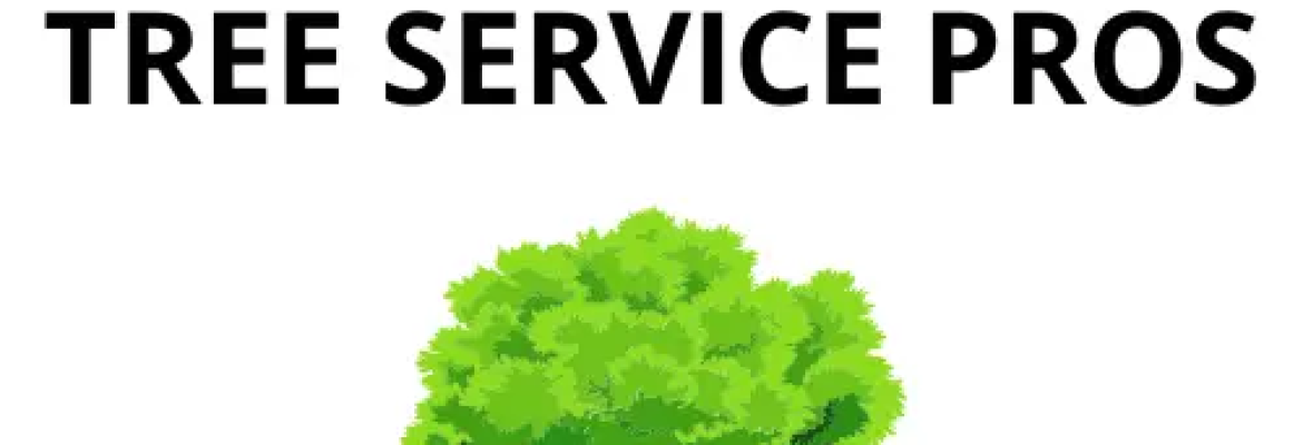 Stockton Tree Service Pros