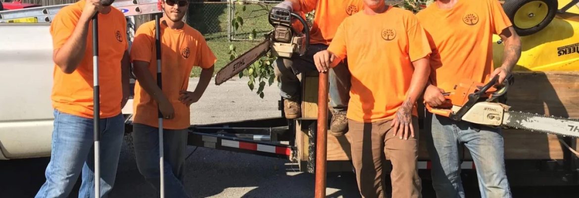 Trufast Tree Service