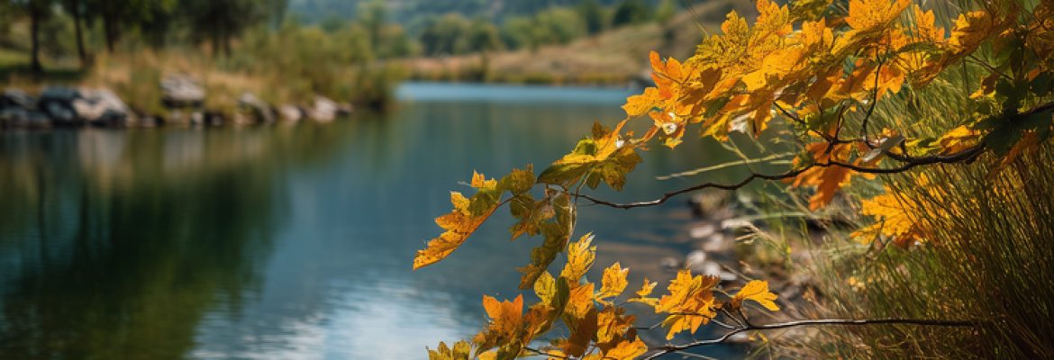 The Wildland Experience