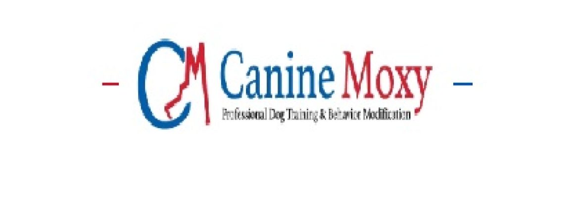 Canine Moxy